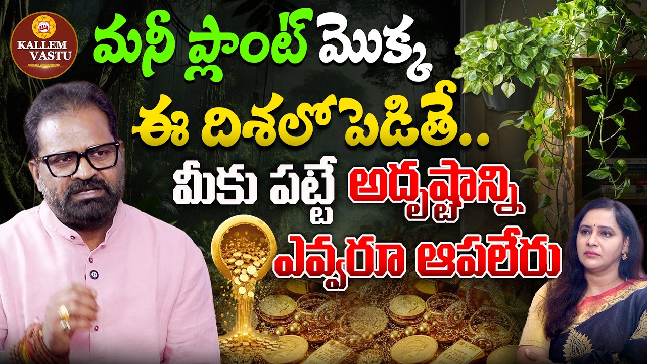 ఇంట్లో మొక్కలు ఎటువైపు ఉండాలి...ఈ ప్రదేశంలోనే పెట్టండి | Vastu Expert Kallem Prataap Reddy | KPR