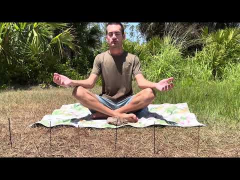 Come Meditate With Me | Enjoy Nature Sounds (ASMR)