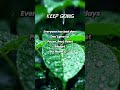 Keep going ⚡motivational quotes in English #motivation #transformyourlifetoday #motivationalquotes