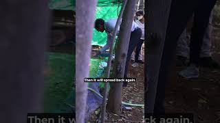 Ever Wondered Why Sids Farm Milk Tastes So Fresh And Pure?