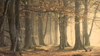 Symphonica Auralis  Long Lost To Where No Pathway Goes summoning Cover