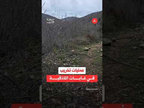 ناشط يفضح التعدي على غابات اللاذقية بقطع الأشجار