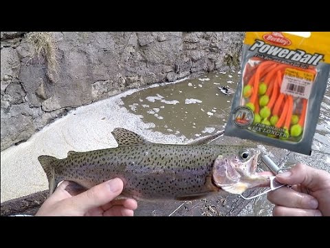 Stocked Trout Fishing w/ Powerbait MOUSE TAILS! Trout cheat code!! 