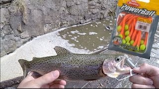 Stocked Trout Fishing w/ Powerbait MOUSE TAILS! Trout cheat code!! 