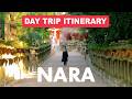 The Perfect Day Trip to Nara Park 🦌 One Day Itinerary