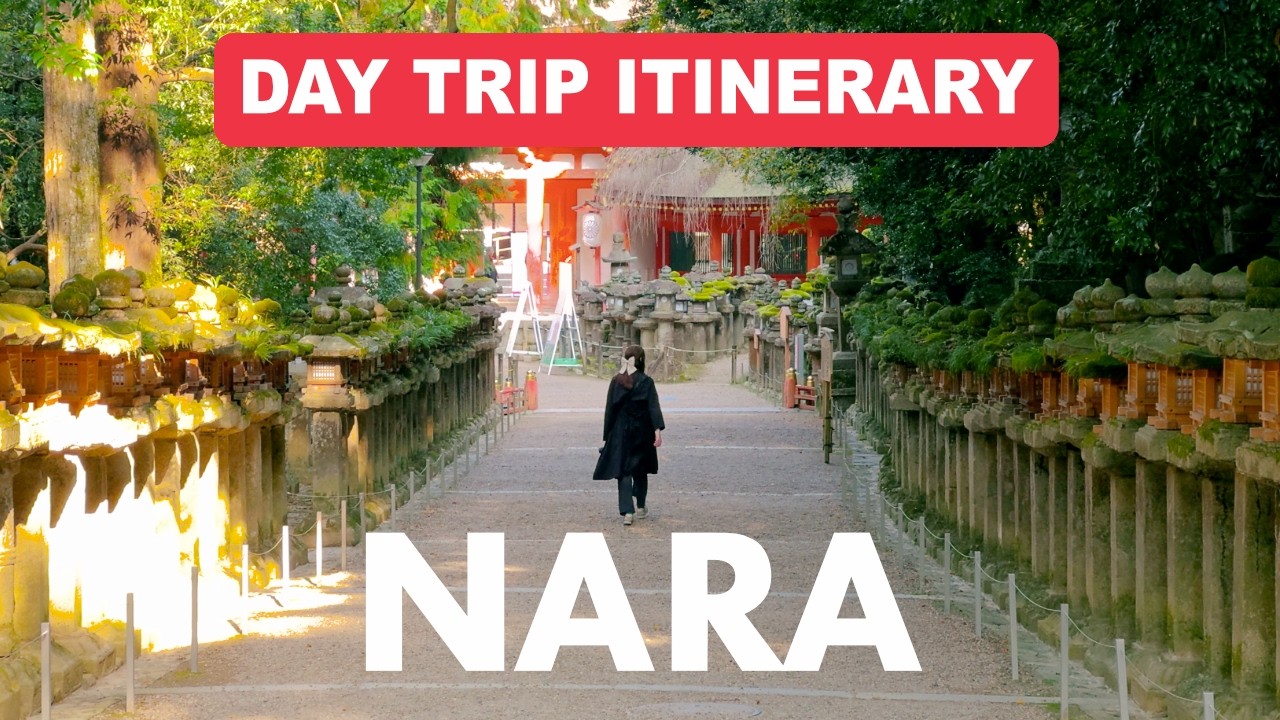 Идеальная однодневная поездка в национальный парк Нара 🦌 Маршрут на один день