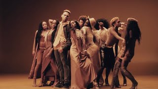 Video thumbnail of "Chris Brown - Brown Skin Girl (ft. Sean Paul)"