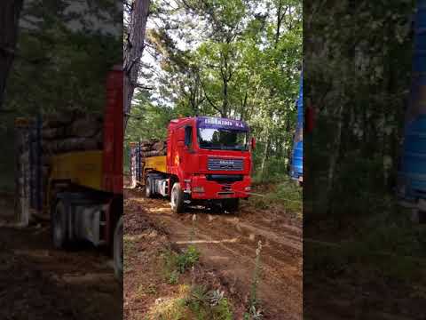 Βίντεο: Πώς μεταφέρετε μακρά ξυλεία σε φορτηγό;
