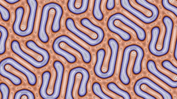 Gray-Scott on 22X orbifold