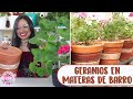 Plantando GERANIOS/NOVIOS en macetas de barro QUEDARON HERMOSOS │Candy Bu