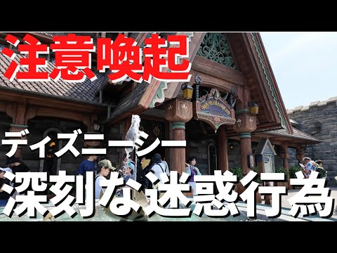 【ディズニーシー】絶対排除すべき。迷惑行為が深刻化してます...