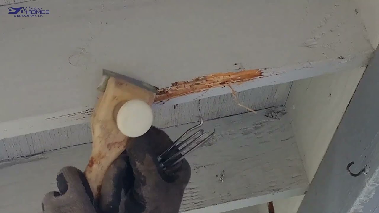Termite Damage Repair Experts | Restore & Protect Your Home