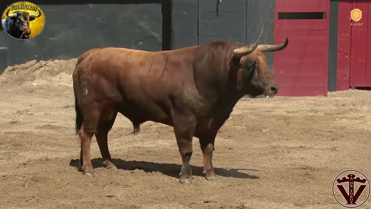 SORTEO| Toros de Fuente Ymbro | 1ª de feria de Abril| Sevilla