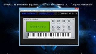 Infinity SAM-04 Piano Module