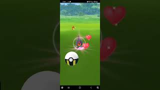 Shiny Roggenrola - Pokemon Go Community Day