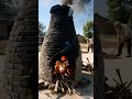 小猪变烤猪Piglet to Roast Pig