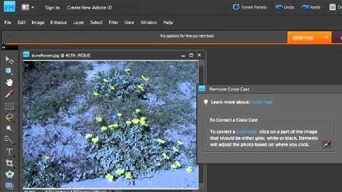 How to Remove a Color Cast in Photoshop Elements 9