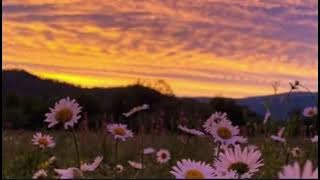 Heather X Eyes Blue X Terpikat Senyum Mu (Slowed) 1hour