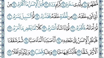 سورة عبس محمد الفقيه