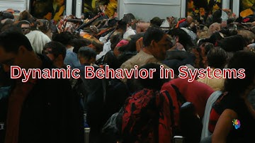 Dynamic Behaviors in Systems