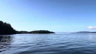 Alaskan cruise 2023 - Ketchikan - sea Kayaking - bye bye tatoosh islands