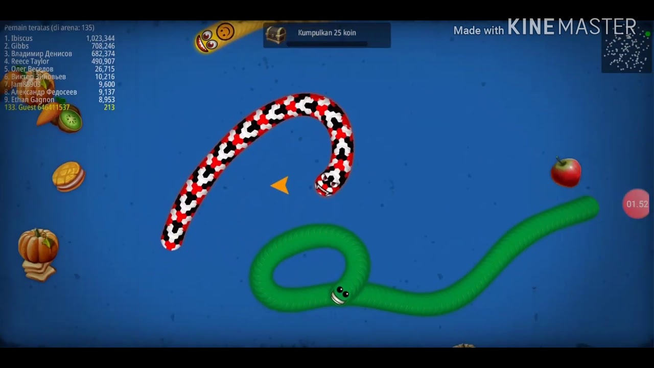 Main game cacing offline #cacingbesaralaska indonesia