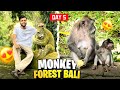 Monkey Forest Bali Indonesia 🇮🇩