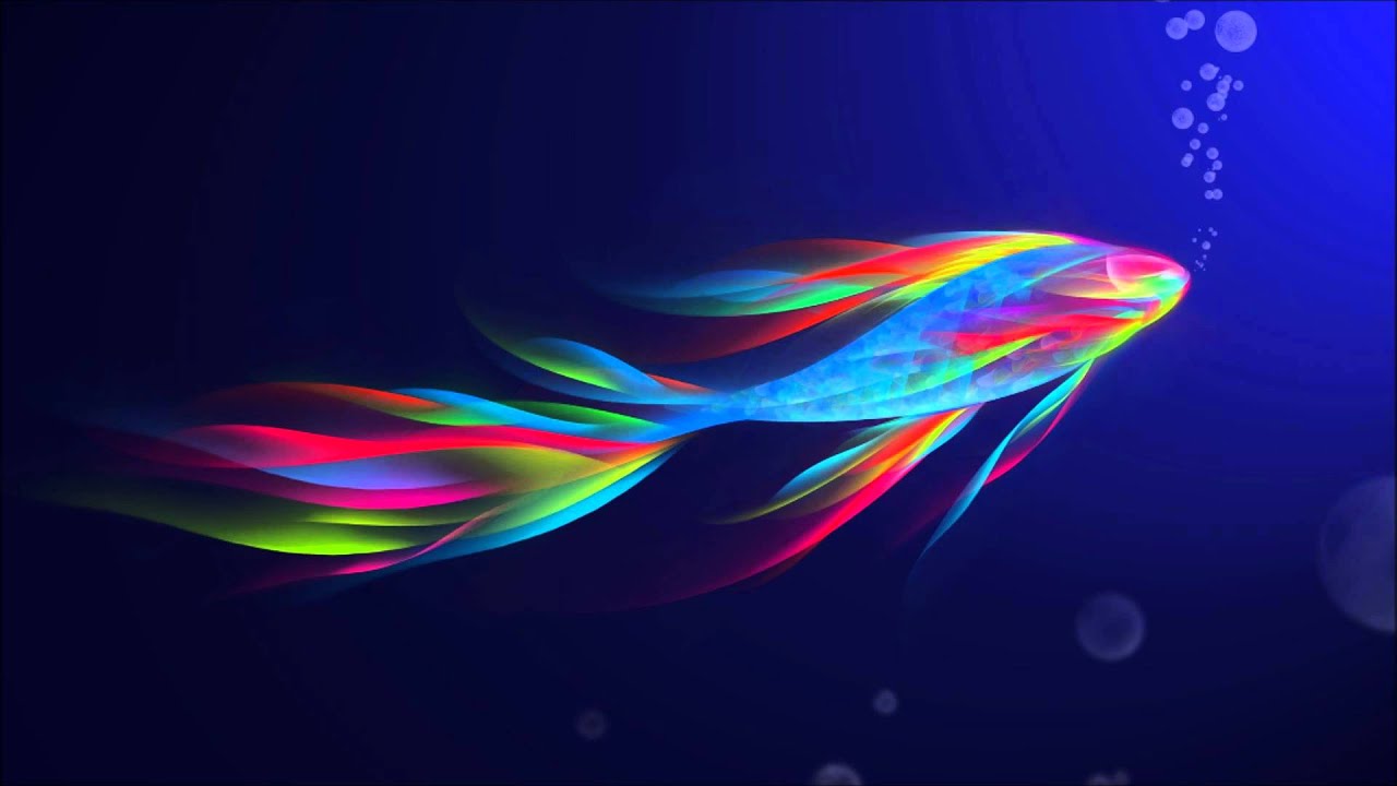 Beautiful 3D HD Butterfly Colorful Background Wallpapers ...