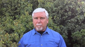 Better Brain Intro, Dr. Robert Graykowski, Better Brain Blueprint