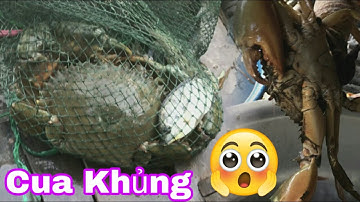 Đặt Lú (12 cửa ngục) Bất Ngờ Dính Được Cua Khủng - Set Surprise Lumbar to Get Crabs