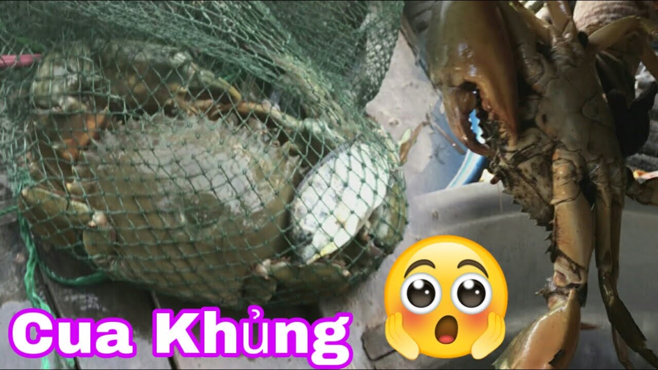 Đặt Lú (12 cửa ngục) Bất Ngờ Dính Được Cua Khủng - Set Surprise Lumbar to Get Crabs