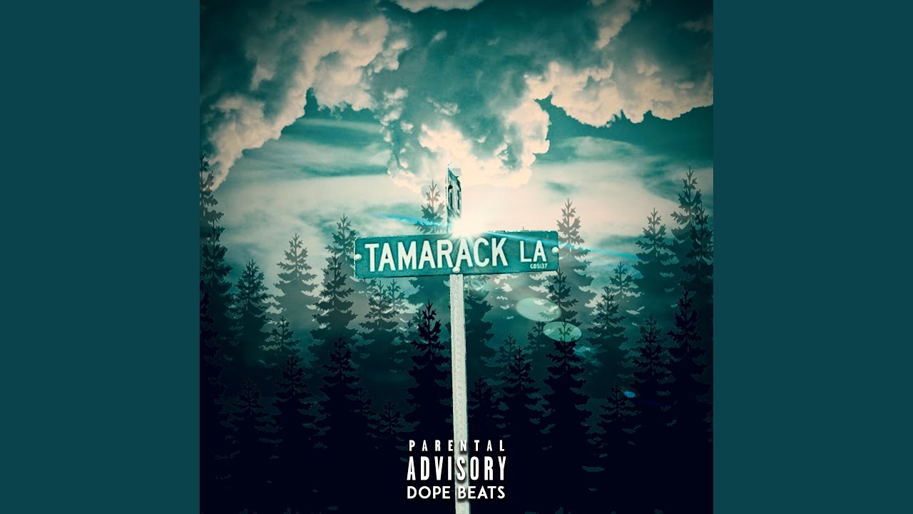 Dream (feat. Nytelife)