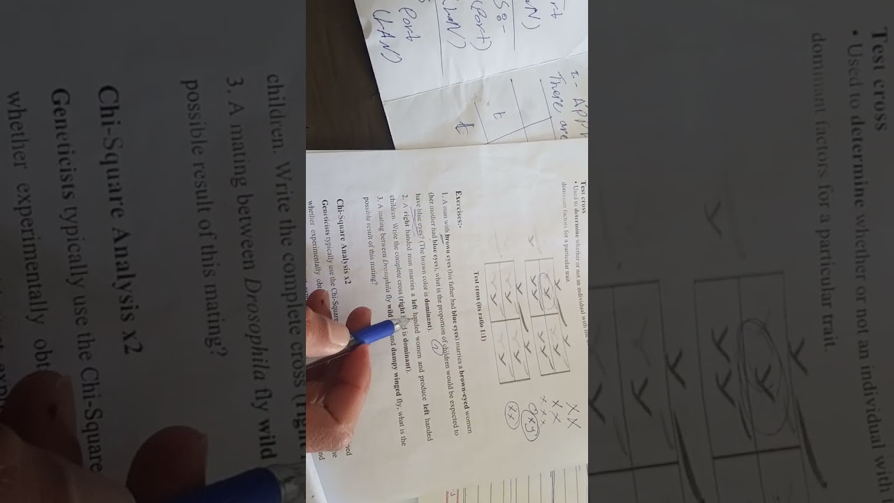 ١ آذار ٢٠٢٦