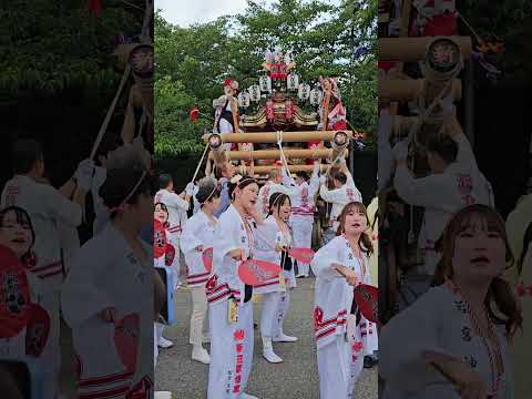 神戸市灘区の新在家だんじりです💗『第52回六甲ファミリーまつり』 2025年