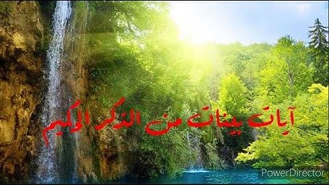 قرائة خاشعة تريح القلب لآيات بينات من الذكر الحكيم