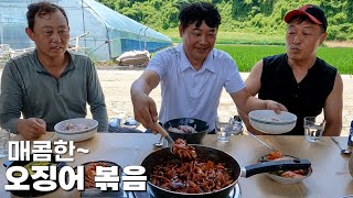 고추수확후 먹는 오징어볶음 [Spicy Stirfried Squid]