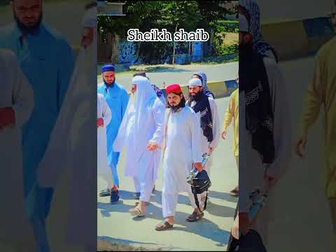 شیخ یوسف احمد صاحب کےلیے ایک جملہ      