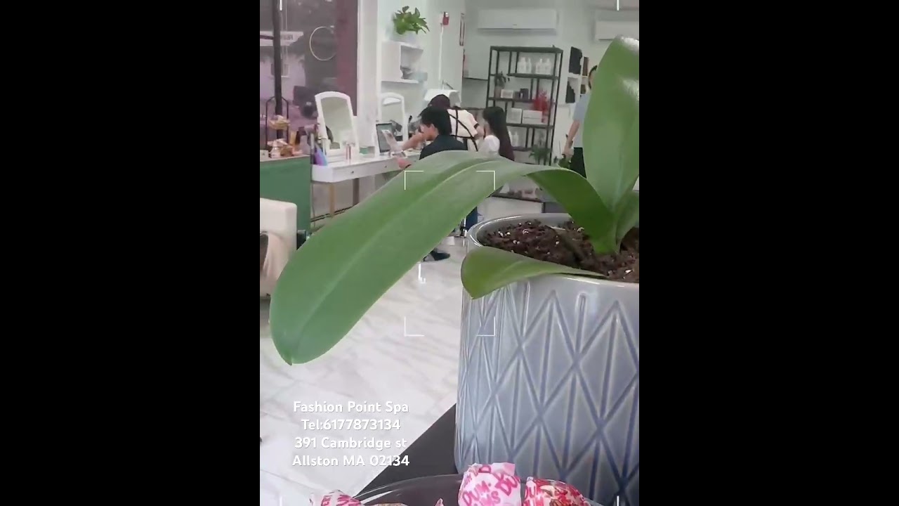 Allston’s Amazing Hairstylist | Great Communication & Aesthetic Sense 👍 