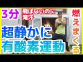 静かにできる有酸素運動【マンションOK！3分ダイエット】飛ばずに燃やしまくる！