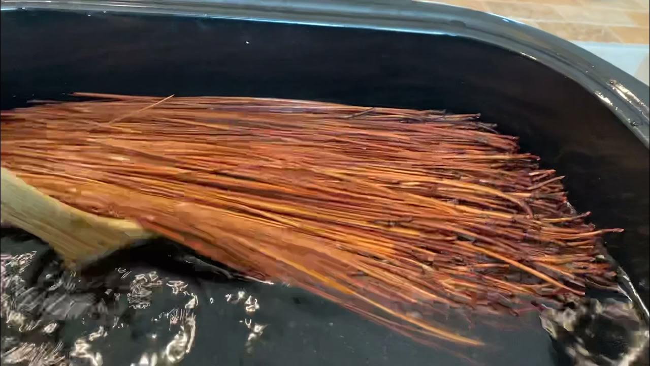 How to Glycerin Pine Needles in a Large RoasterStep by Step Part 1 YouTube