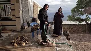 Family's Mountain Retreat: Homecoming and Deep Cleaning the Carpets\