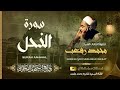 روائع الشيخ محمد رفعت سورة النحل Muhamad Refaat Surah An Nahl روائع الشيخ محمد رفعت سورة النحل Muhamad Refaat Surah An Nahl