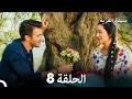 سيدة القرية الحلقة 8  