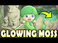 🌿 23 GLOWING-MOSS Items &amp; How To Get Them in Animal Crossing New Horizons 2.0!