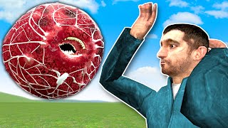 THE MEATBALL IS AFTER ME!  Garry's Mod Gameplay