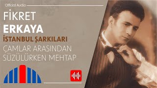 Fikret Erkaya - Çamlar Arasından Süzülürken Mehtap
