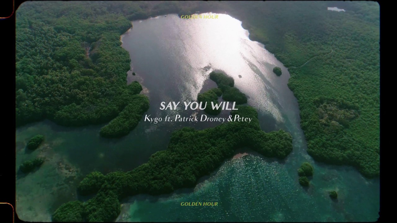 Say You Will