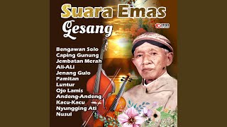 Bengawan Solo