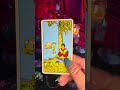 What will I be drawn to today?Daily Tarot Card Mon Feb 10th #tarot#dailytarotcard #shorts