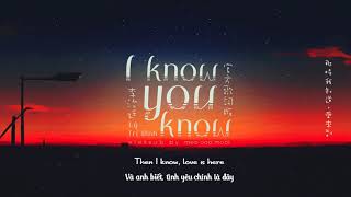 [Vietsub] I Know You Know - Lý Trị Đình (OST Người bạn thật sự của tôi)